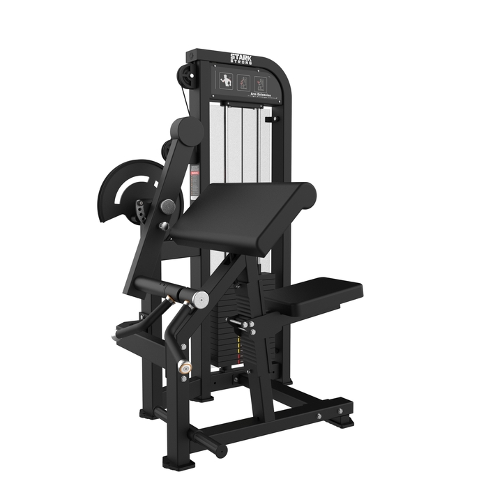 BICEPS COM CARGA