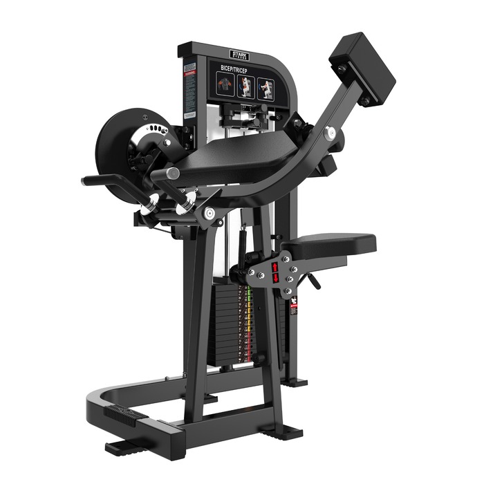BICEPS E TRICEPS CONJUGADO COM CARGA